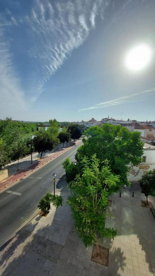 Apartamentos Ribera 19 Кордова Экстерьер фото
